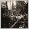 5-013 Waldfest um 1930.jpg